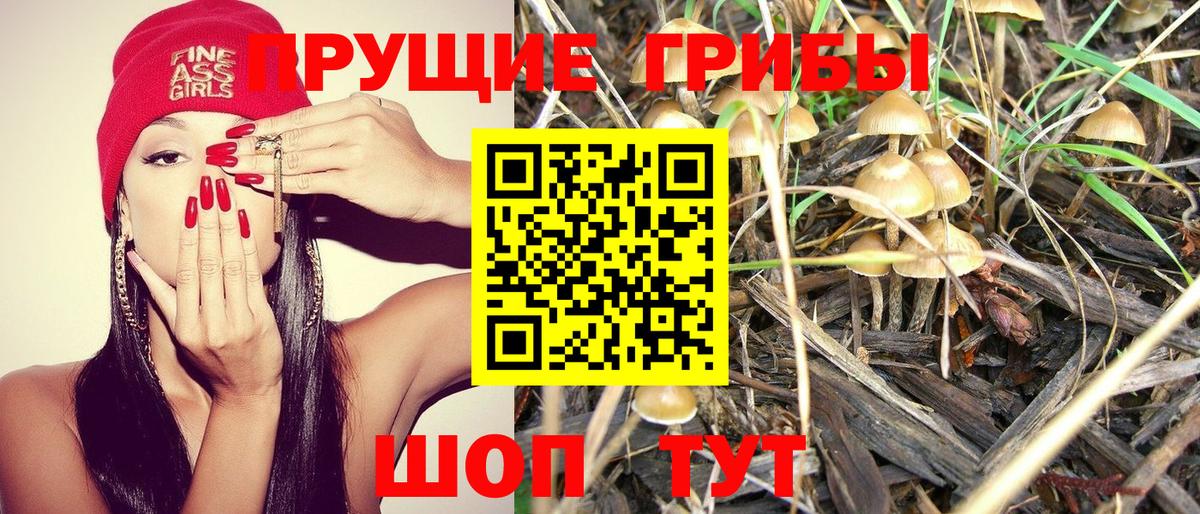 Мыски  Псилоцибиновые грибы Psilocybine cubensis  Вход с VPN 